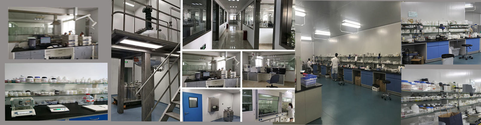 Rheologische modificatoren